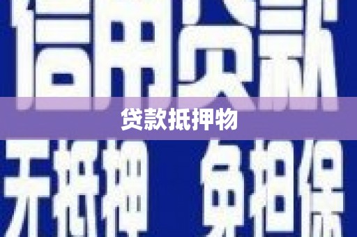 庄浪贷款抵押物