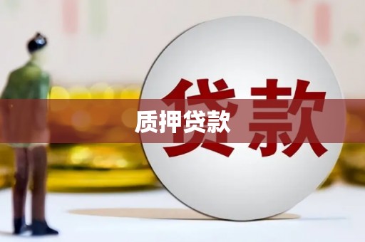 怀化质押贷款