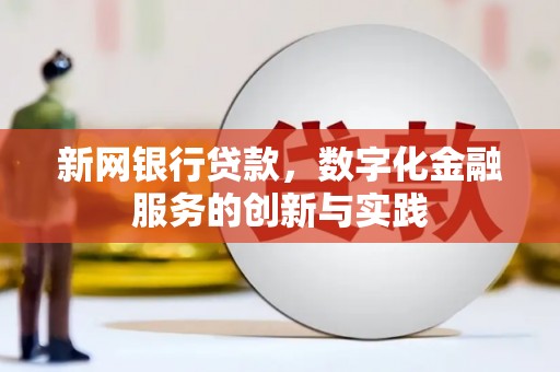 杂多新网银行贷款，数字化金融服务的创新与实践