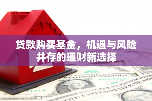 林西贷款购买基金，机遇与风险并存的理财新选择
