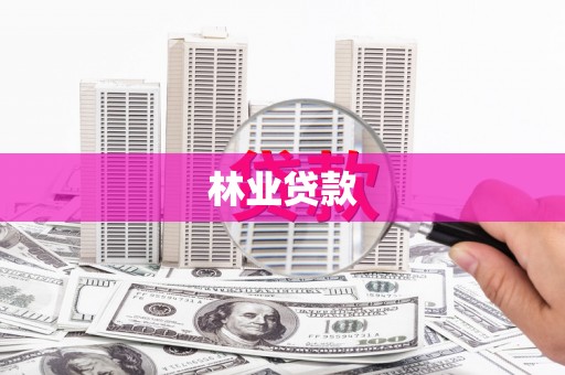 光泽林业贷款