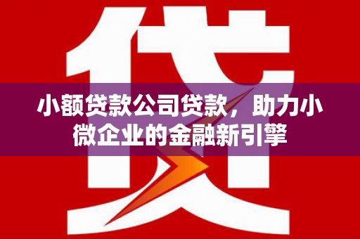 武汉小额贷款公司贷款，助力小微企业的金融新引擎