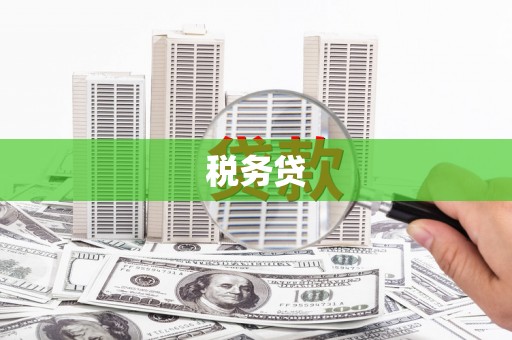 望奎税务贷