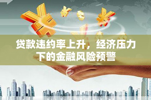 新蔡贷款违约率上升，经济压力下的金融风险预警