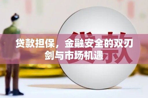 清流贷款担保，金融安全的双刃剑与市场机遇