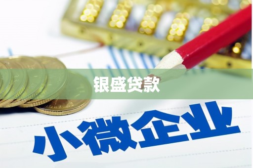 大兴安岭银盛贷款
