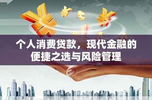 商南个人消费贷款，现代金融的便捷之选与风险管理