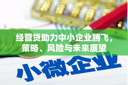 江海经营贷助力中小企业腾飞，策略、风险与未来展望
