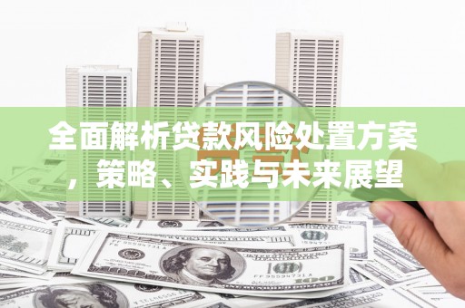 苑里全面解析贷款风险处置方案，策略、实践与未来展望