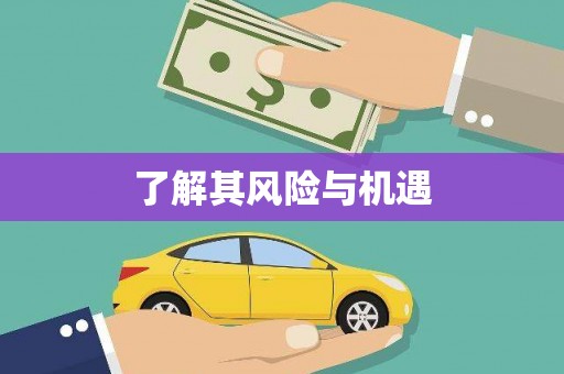 三江了解其风险与机遇