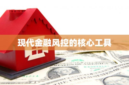 埇桥现代金融风控的核心工具