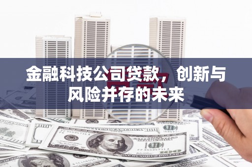 临淄金融科技公司贷款，创新与风险并存的未来