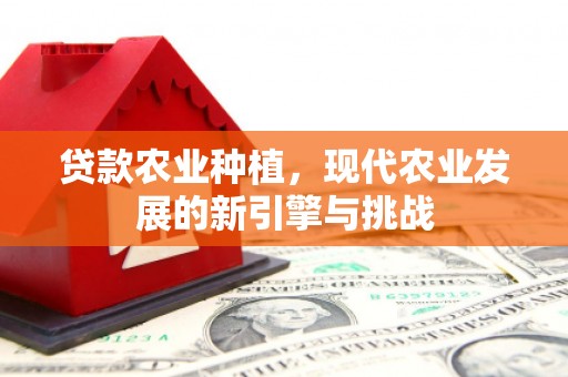 合山贷款农业种植，现代农业发展的新引擎与挑战