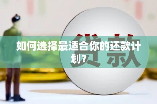 枋寮如何选择最适合你的还款计划？