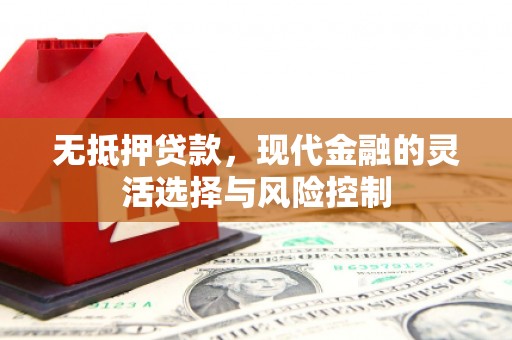 长岛无抵押贷款，现代金融的灵活选择与风险控制