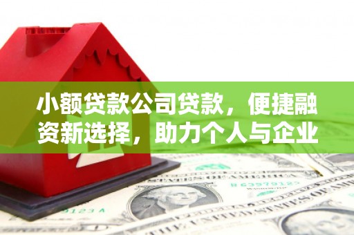 弥陀小额贷款公司贷款，便捷融资新选择，助力个人与企业成长