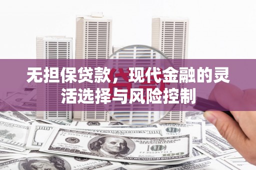 西林无担保贷款，现代金融的灵活选择与风险控制