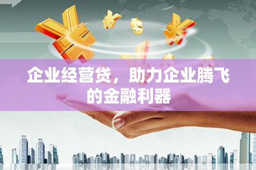 宁陵企业经营贷，助力企业腾飞的金融利器