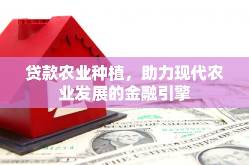 官田贷款农业种植，助力现代农业发展的金融引擎