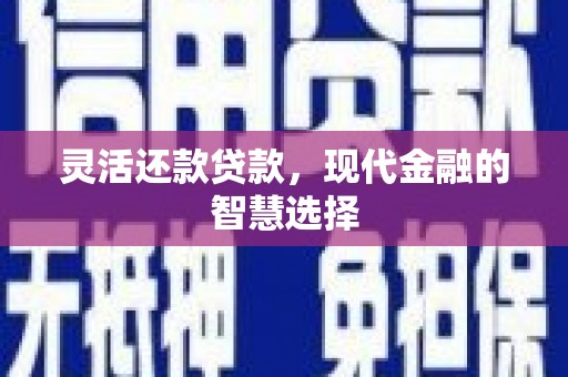 海南灵活还款贷款，现代金融的智慧选择