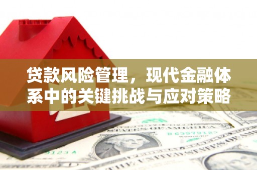 风顺堂区贷款风险管理，现代金融体系中的关键挑战与应对策略