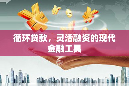 泰山循环贷款，灵活融资的现代金融工具