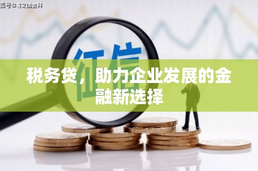 赤峰税务贷，助力企业发展的金融新选择