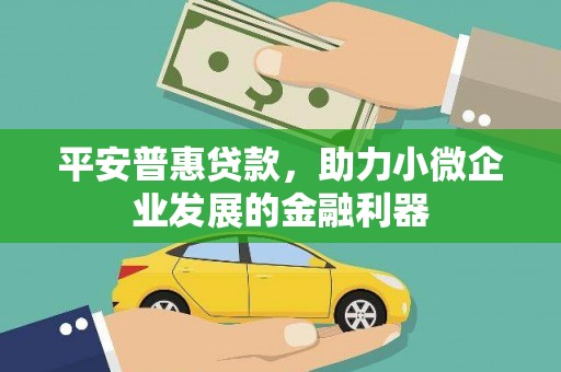 泾县平安普惠贷款，助力小微企业发展的金融利器