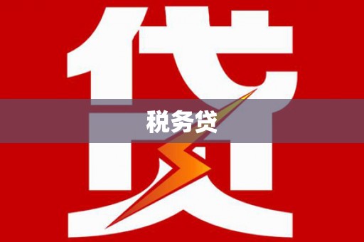 海南税务贷