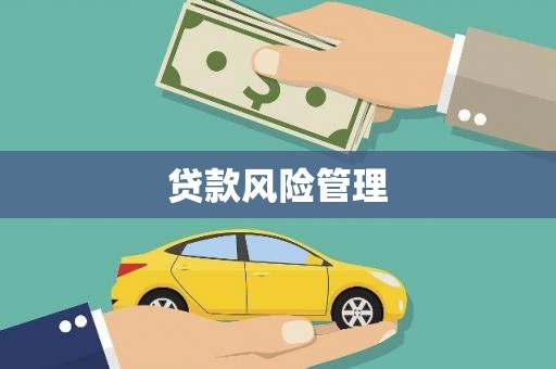 泽普贷款风险管理