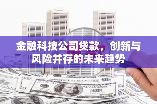 抚远金融科技公司贷款，创新与风险并存的未来趋势