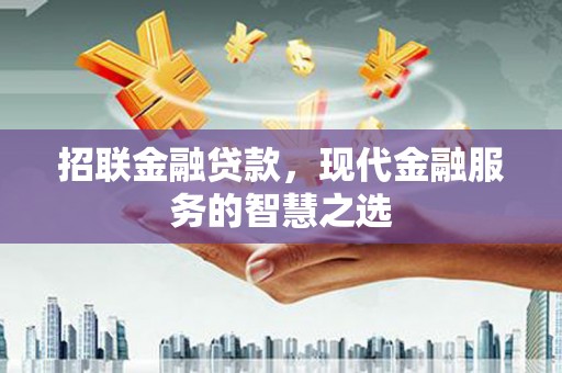 志丹招联金融贷款，现代金融服务的智慧之选