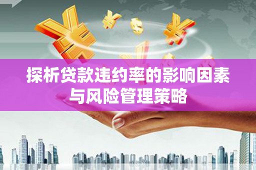 桃江探析贷款违约率的影响因素与风险管理策略