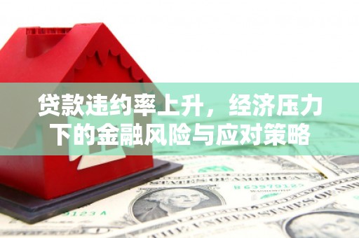 武安贷款违约率上升，经济压力下的金融风险与应对策略