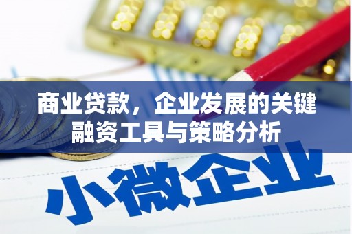于洪商业贷款，企业发展的关键融资工具与策略分析
