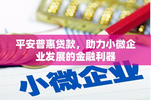 磴口平安普惠贷款，助力小微企业发展的金融利器