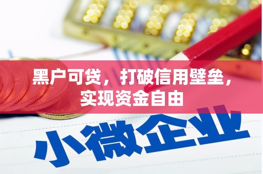 民和黑户可贷，打破信用壁垒，实现资金自由