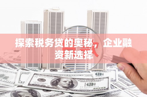 金普新区探索税务贷的奥秘，企业融资新选择
