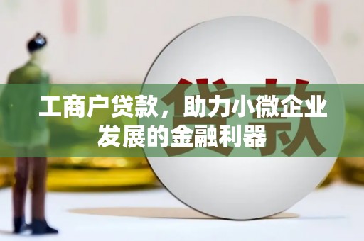 蔡甸工商户贷款，助力小微企业发展的金融利器