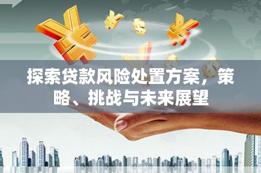 莱城探索贷款风险处置方案，策略、挑战与未来展望