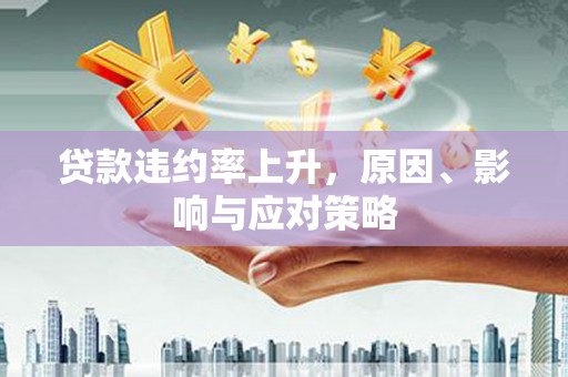 海兴贷款违约率上升，原因、影响与应对策略