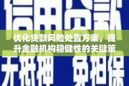 宁晋优化贷款风险处置方案，提升金融机构稳健性的关键策略