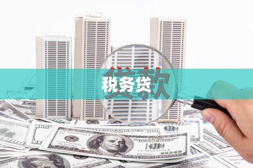 双湖税务贷