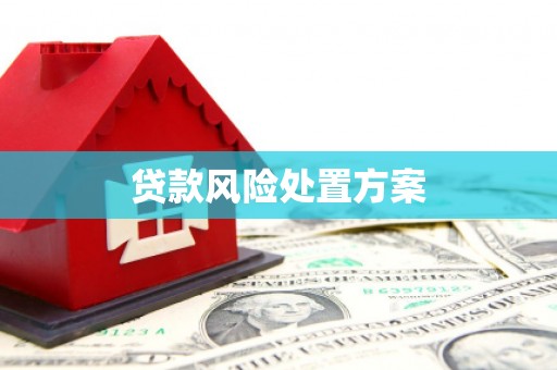 张店贷款风险处置方案