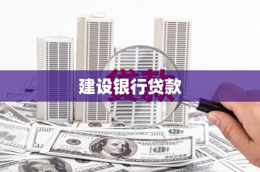 巴马建设银行贷款