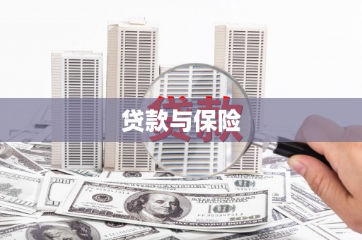 城西贷款与保险