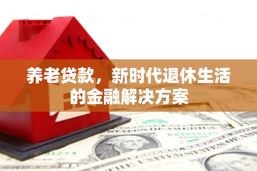 龙泉驿养老贷款，新时代退休生活的金融解决方案