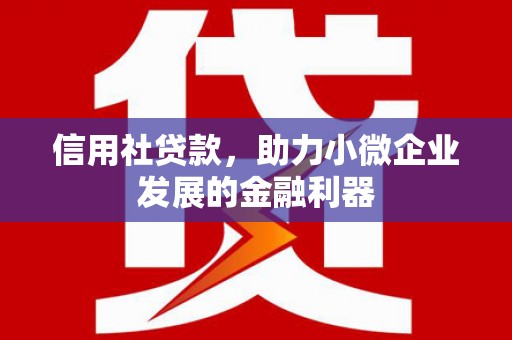沙坪坝信用社贷款，助力小微企业发展的金融利器