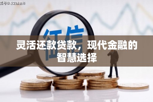 大冶灵活还款贷款，现代金融的智慧选择