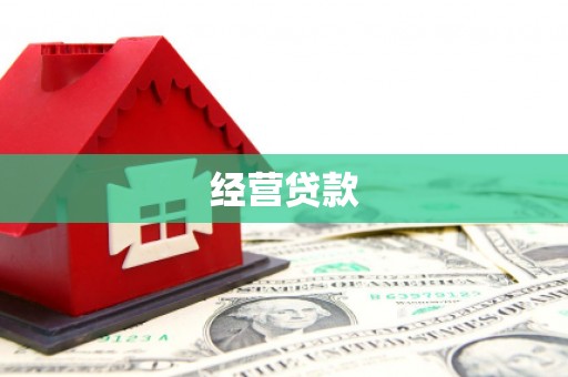 池上经营贷款